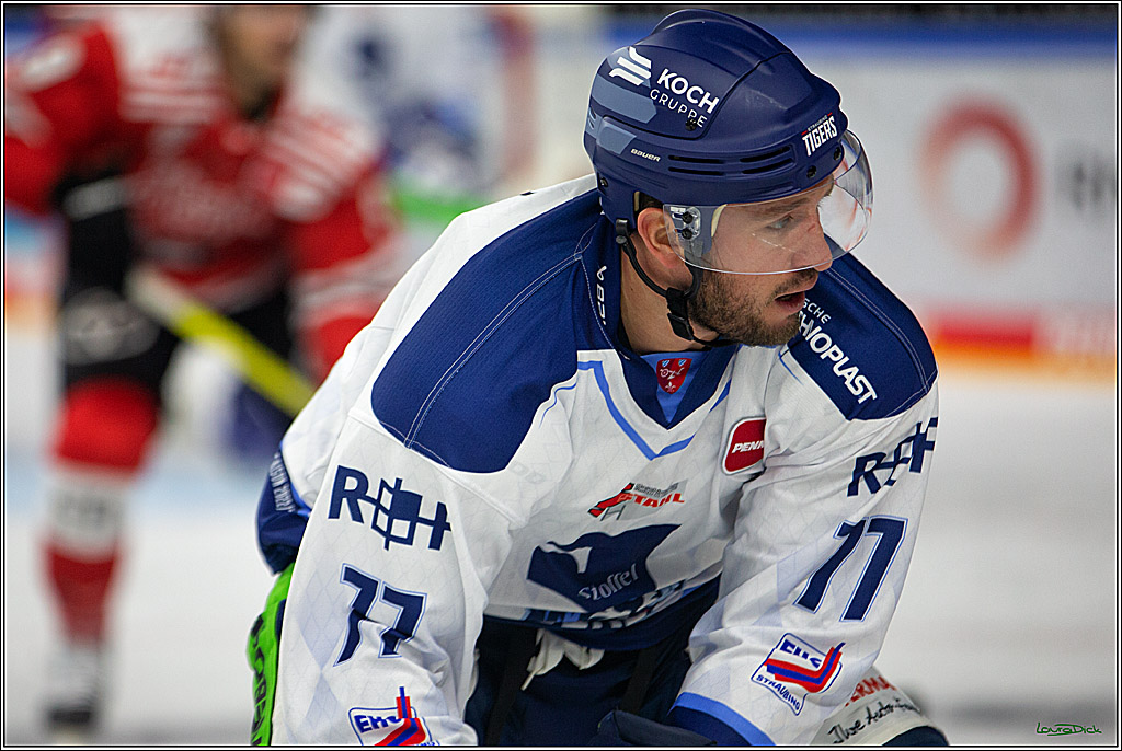 PENNY DEL; Koelner Haie- Straubing Tigers; Koeln, 09.10.2022